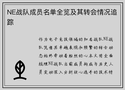 NE战队成员名单全览及其转会情况追踪