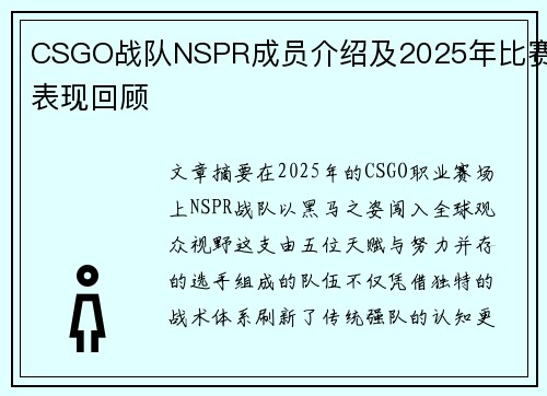 CSGO战队NSPR成员介绍及2025年比赛表现回顾